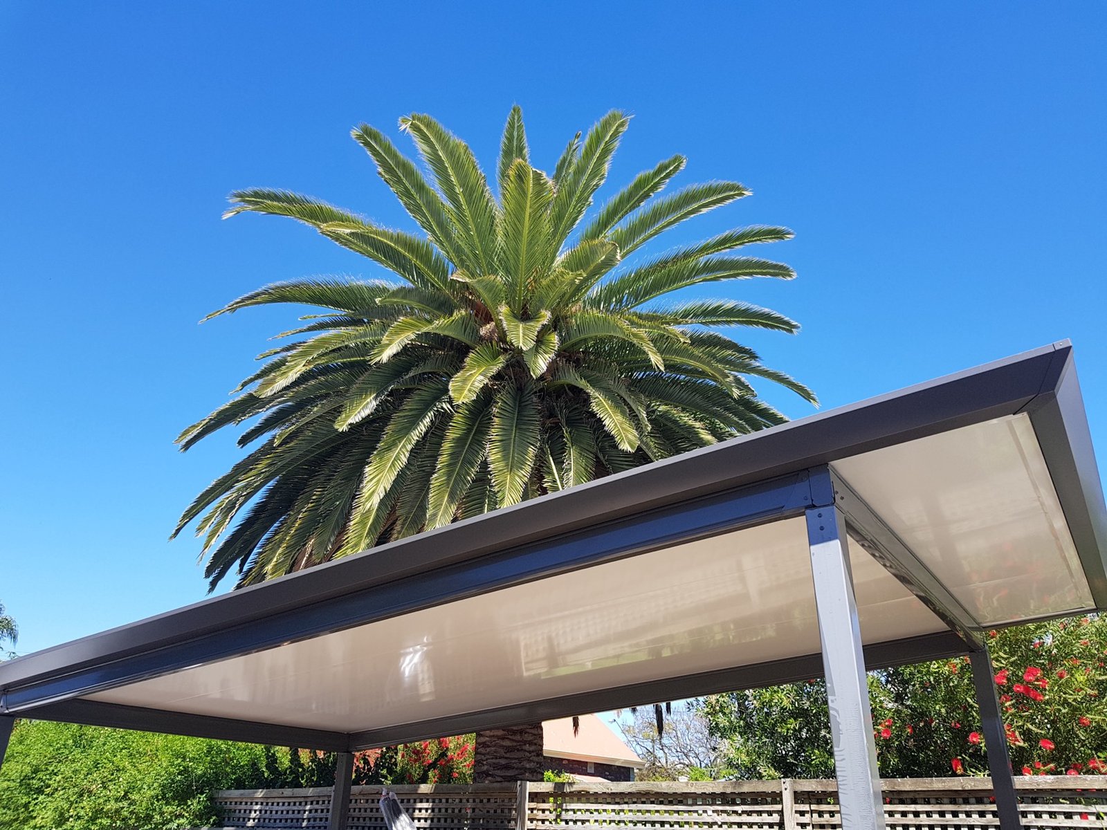 Flat-roof verandah beside a palm